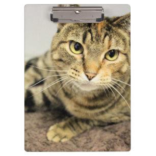 Zwischenablage Klemmbrett