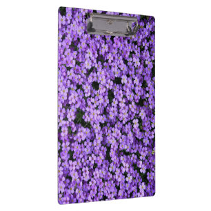 Zwischenablage mit Violetten Klemmbrett