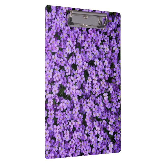 Zwischenablage mit Violetten Klemmbrett (Rechts)