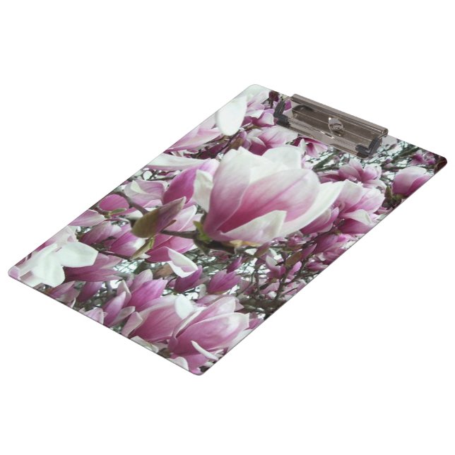 Zwischenablage - Saucer Magnolia Klemmbrett (Schrägansicht)
