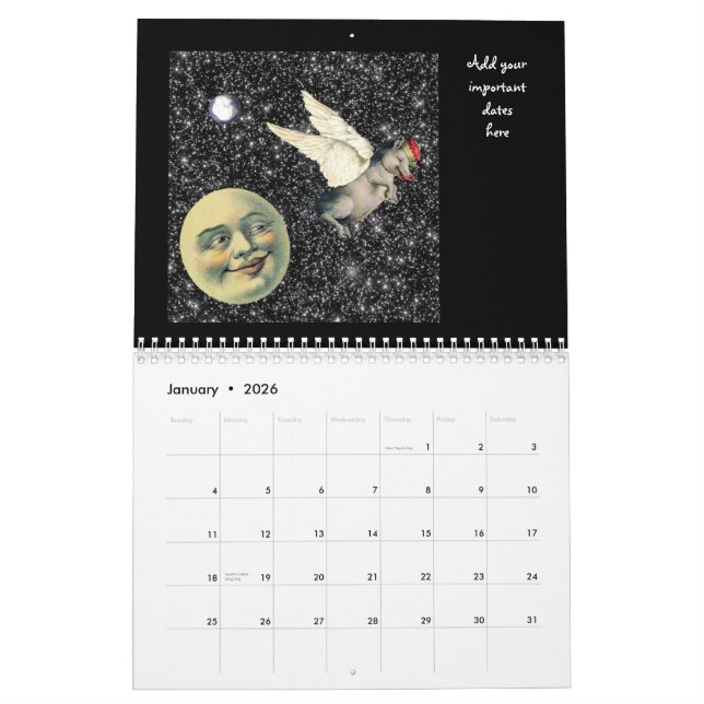 Zwölf besondere Monate 2012 Kalender (Jan 2026)
