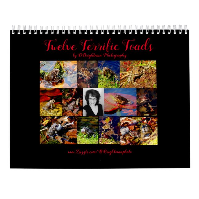 Zwölf Terrific Toads Kalender (Rückseite)