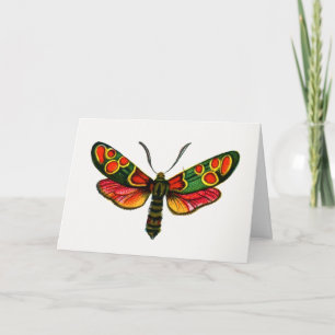Zygaena carniolica - The Crepuscular Burnet Moth Karte