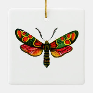 Zygaena carniolica - The Crepuscular Burnet Moth Keramikornament