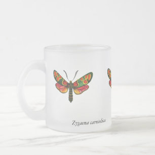 Zygaena carniolica - The Crepuscular Burnet Moth Mattglastasse