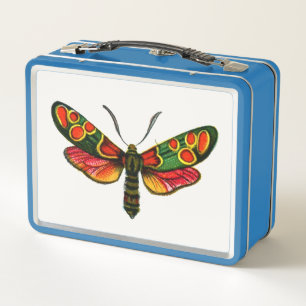Zygaena carniolica - The Crepuscular Burnet Moth Metall Brotdose