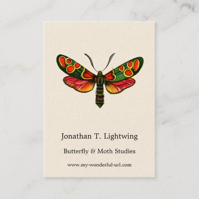 Zygaena carniolica - The Crepuscular Burnet Moth Visitenkarte (Vorderseite)