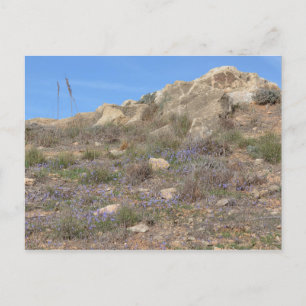 Zypern Landscape Postcard Postkarte