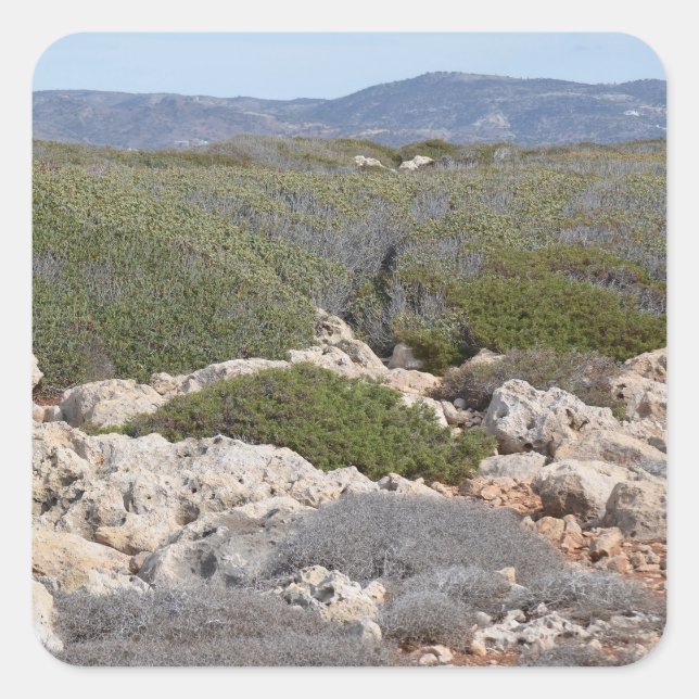 Zypern Landschaftskleber Quadratischer Aufkleber (Vorderseite)