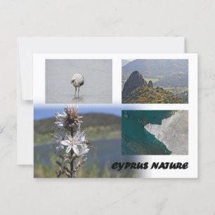 Zypern Natur Postkarte