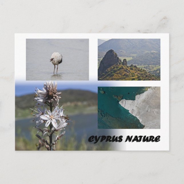 Zypern Natur Postkarte (Vorderseite)