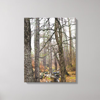 Zypern Naturlandschaft Troodos Waldbraun Bäume Leinwanddruck