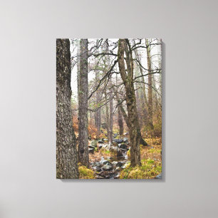 Zypern Naturlandschaft Troodos Waldbraun Bäume Leinwanddruck