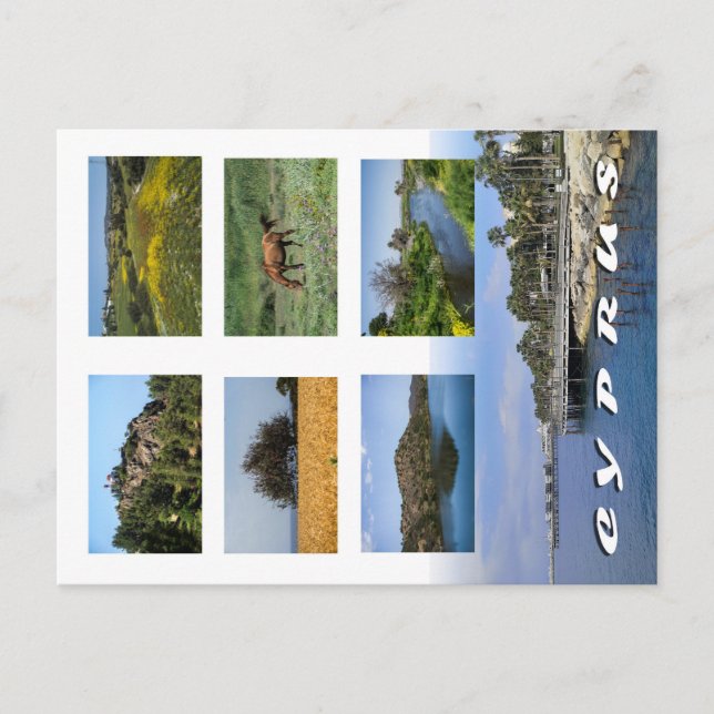 Zypern-Postkarte Postkarte (Vorderseite)