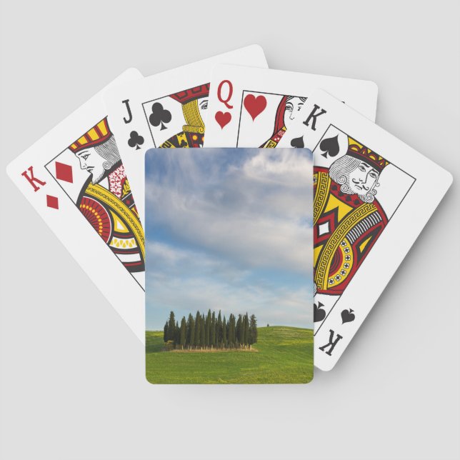 Zypresse-Bäume im Toskana-PokerKartensatz Spielkarten (Rückseite)