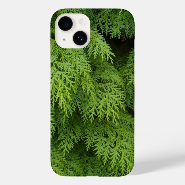Zypressen Case-Mate iPhone 14 Hülle (Rückseite)