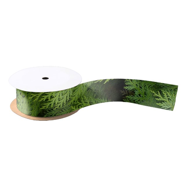 Zypressen Satinband (Spule)