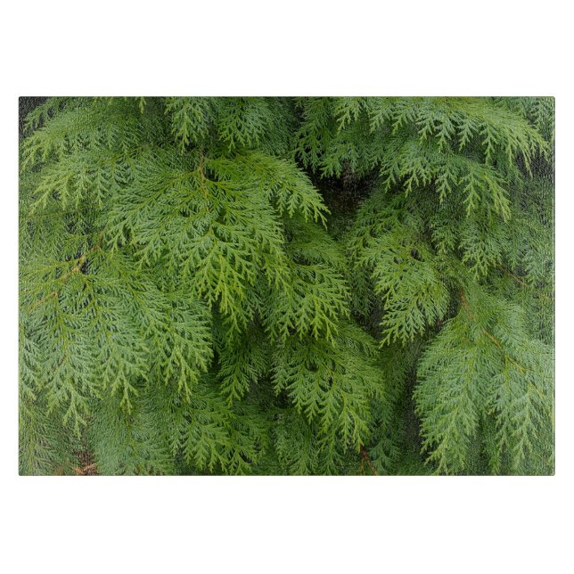 Zypressen Schneidebrett (Vorderseite)