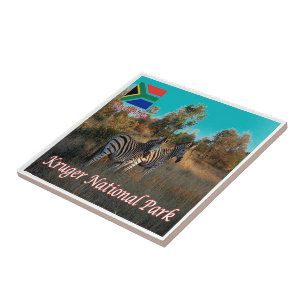 zZA004 KRUGEN Nationalpark, Südafrika, Fliese